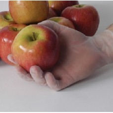 Vinyl Clear Lightly Powdered Examination Latex Free Gloves Bastion Dental Tattoo