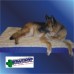 Dick Wicks Magnetic Pet Bed Natural Therapy Pain Relief