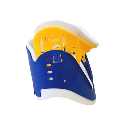 Philly Patriot Collar Adult